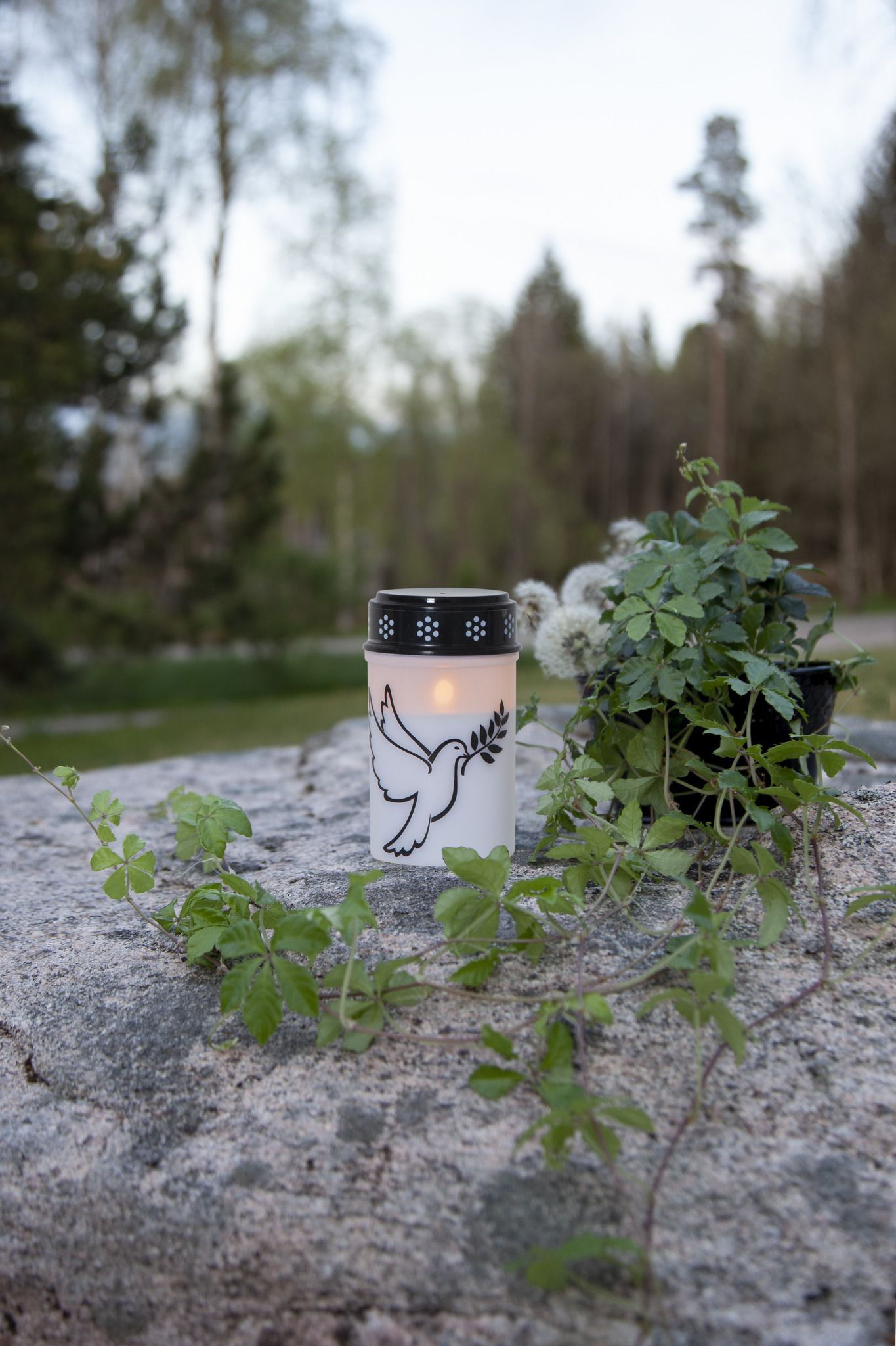 LED Grablicht Dove - Outdoor, Weiss, 12cm Höhe, Timerfunktion