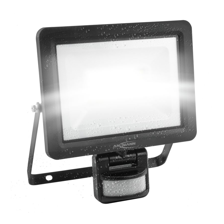 Flutlicht WFL30W-S - 3300lm