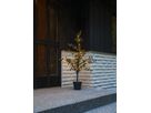Dekorativer Baum Buxbom - grün, 40 LED's, 115 cm Höhe
