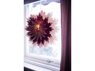Papier Stern Ice - IP20