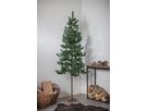 Weihnachtsbaum Tallis - Indoor, Grün, 200.00cm Höhe