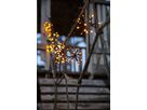 Lichterkette Flower Curtain - IP44, Schwarz, Golden Warmweiss
