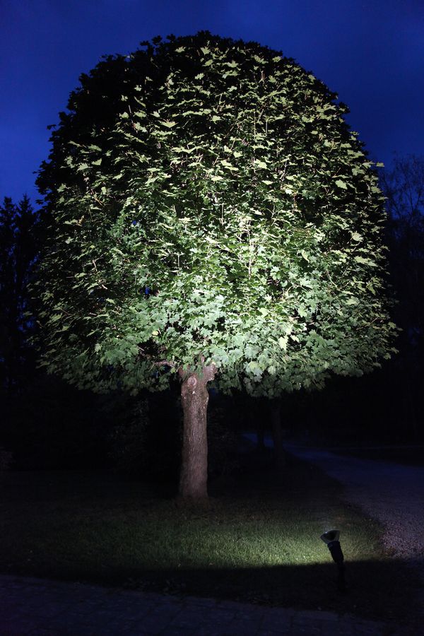 LED Leuchtmittel E27 PAR38 Spotlight Outdoor - E27, 1300Lm, 4000K, 15W, 220-240VAC