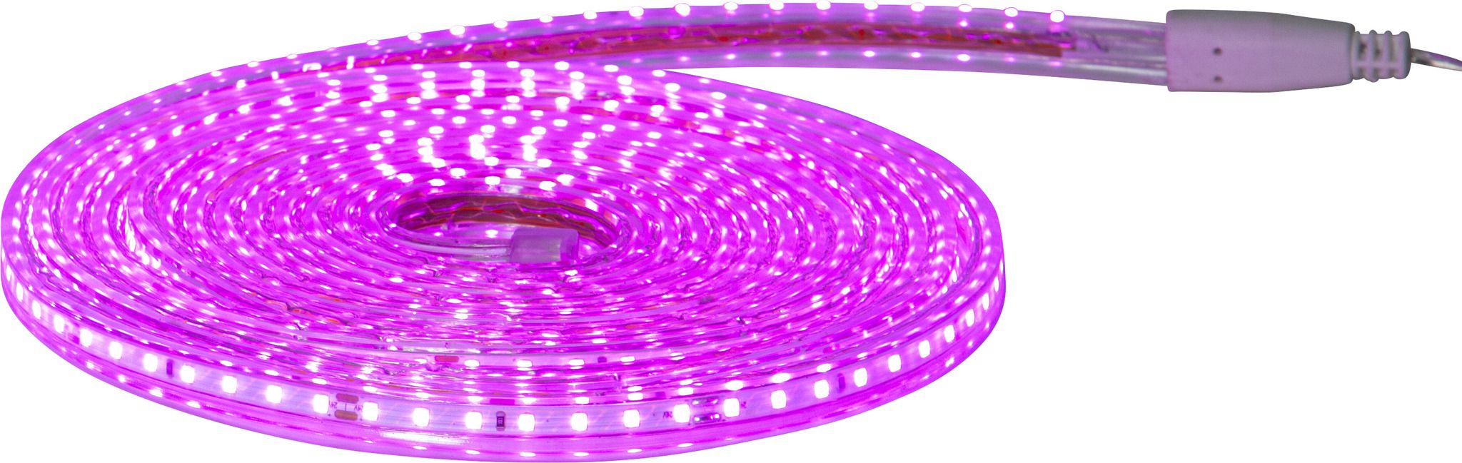 Rope Light FlatSMDLED - IP44, Pink, Transparent