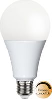 LED Leuchtmittel E27 A80 High Lumen - E27, 2200Lm, 4000k, 19W, 220-240