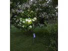 Outdoor Decoration Spotlight Focus - IP44, GU10, Schwarz