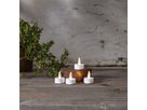 Luce da tè a LED 4-set Paulo - Indoor, Weiss, 4cm Höhe, Timerfunktion