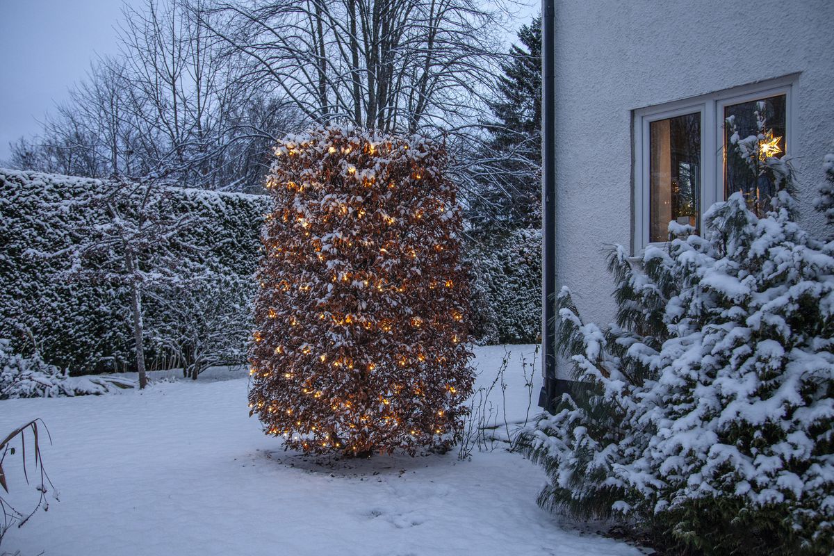 Netzlichterkett Shiny - IP44, Warmweiss, 200 LED's, 300.00 cm