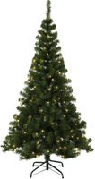 Albero di Natale  LED Ottawa - grün, 180 LED's, 180cm Höhe