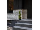 Dekorativer Baum Buxbom - grün, 20 LED's, 65 cm Höhe