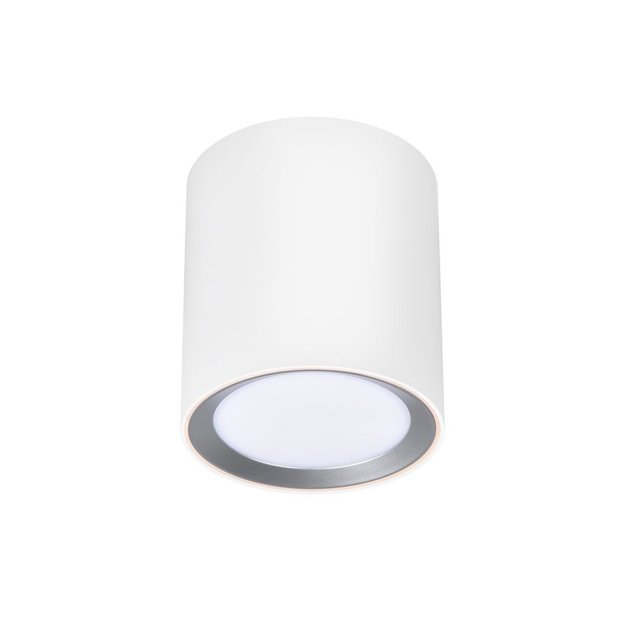 Landon Long Smart, Deckenleuchte, Weiss - 7W ,2700-6500K, IP44