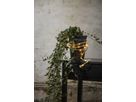 LIGHT CHAIN JUTTA - LIGHT CHAIN JUTTA