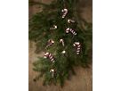 Lichterkette CandyCane - IP20, Warmweiss, 10 LED'S