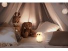 Nachtlicht Eule - 0.2W, IP20, USB-Ladung