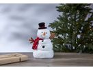 Indoor Dekoration  Merry pal - IP20, Weiss, Kaltweiss