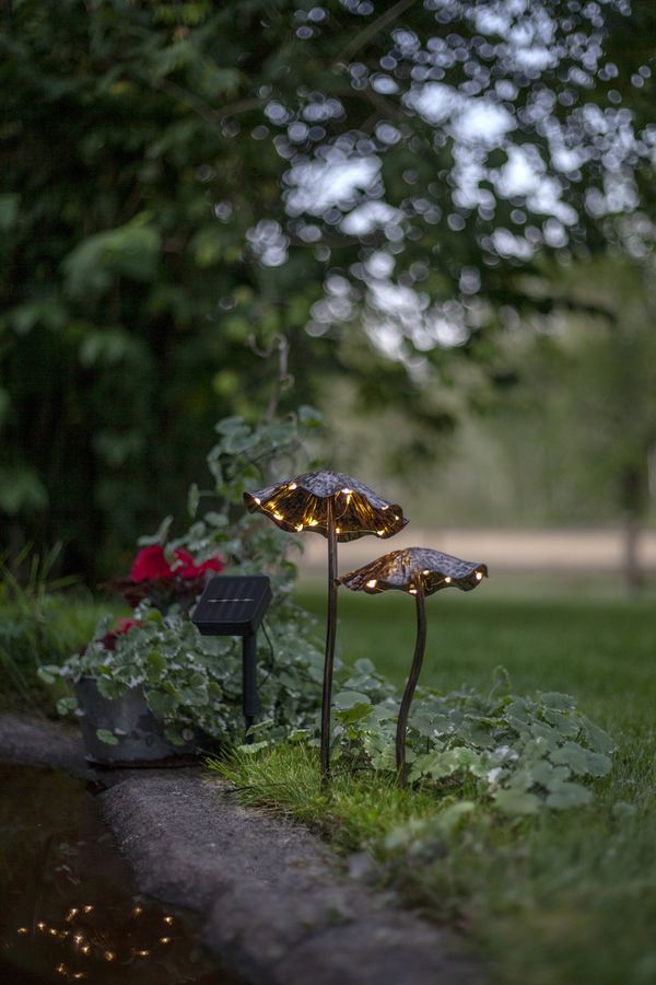 Solar Dekoration Lumini - 50cm