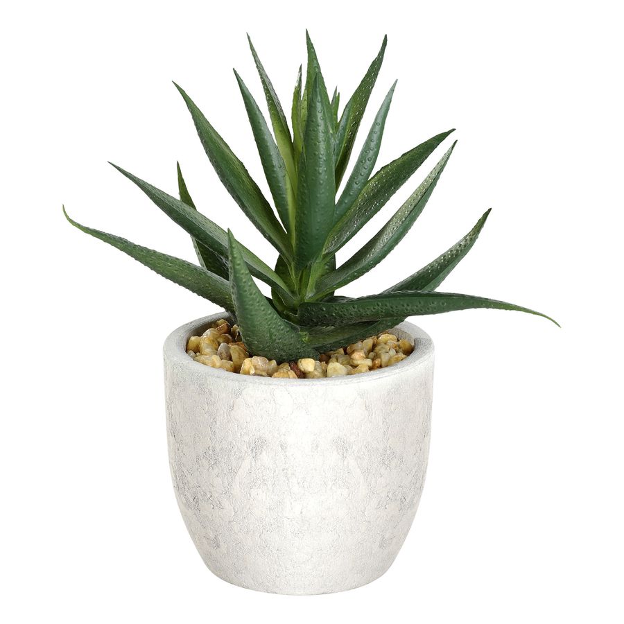 PFLANZE IM TOPF 100X110X155 BRAUN/GRÜN - PFLANZE IM TOPF 100X110X155 BRAUN/GRÜN