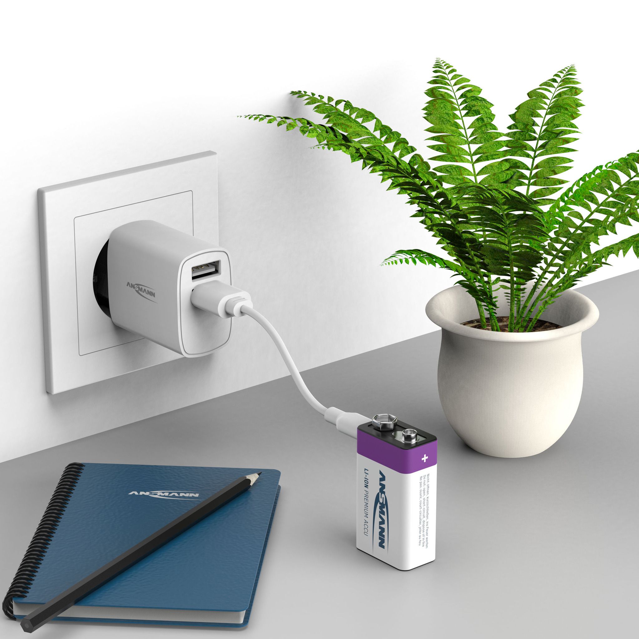 NiMH batteria ricaricabile Micro AAA 550mAh, 2er blister - 1er Kartonage