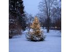 Christmas Tree Light Shiny - IP44, Warmweiss, 360 LED's, 200 cm