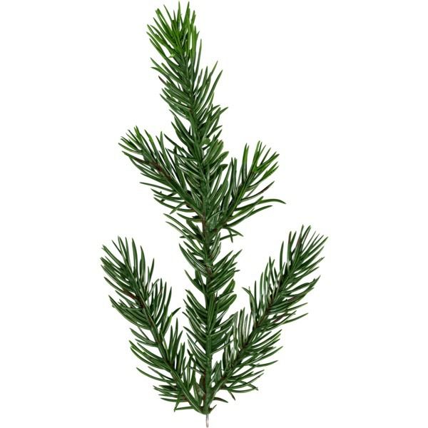 Weihnachtsbaum mit LED Malung - Outdoor, Grün, 240 LED
