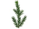 Weihnachtsbaum Malung - Outdoor, Grün, 200cm