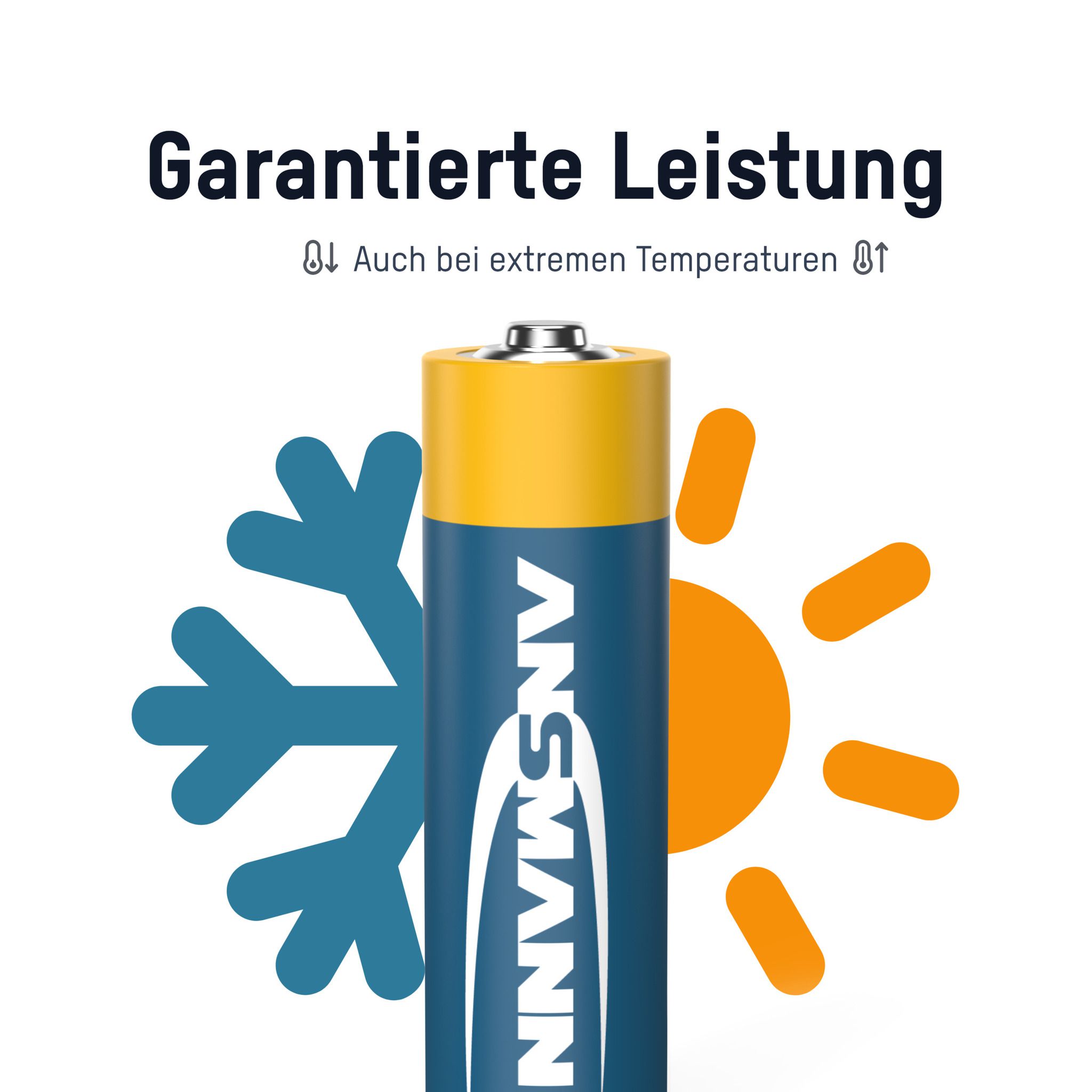 Alkaline X-POWER AA/LR6 - 20er Karton-Blister