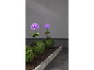 Solar Gartenstock Hortensia - Pink, Lichtfarbe Kaltweiss