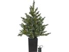 Weihnachtsbaum mit LED Grauland - IP20, Warmweiss, Grün