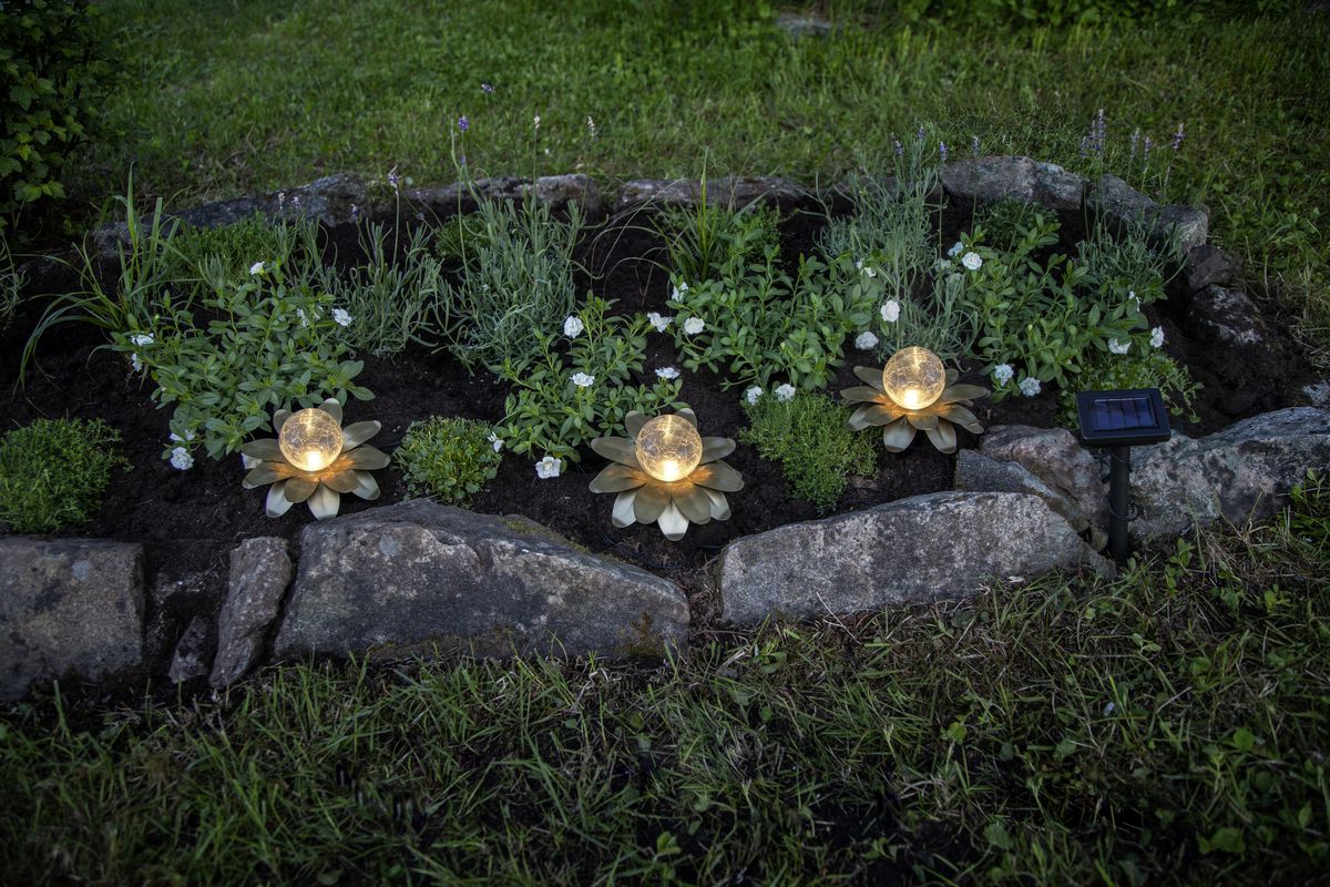 Solar Decoration Lilly - Warmweiss, IP44, Gold