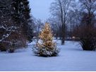 Christmas Tree Light Shiny - IP44, Warmweiss, 360 LED's, 200 cm