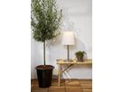 Solar Decoration Solia Table 60 cm - IP44, Warmweiss, Dämmerungssensor