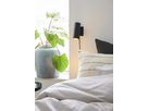 Alanis , Wandleuchte, Schwarz - GU10, IP20, max.LED 5W