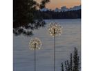 Solar Dekoration Firework Solar - Schwarz, Lichtfarbe Warmweiss
