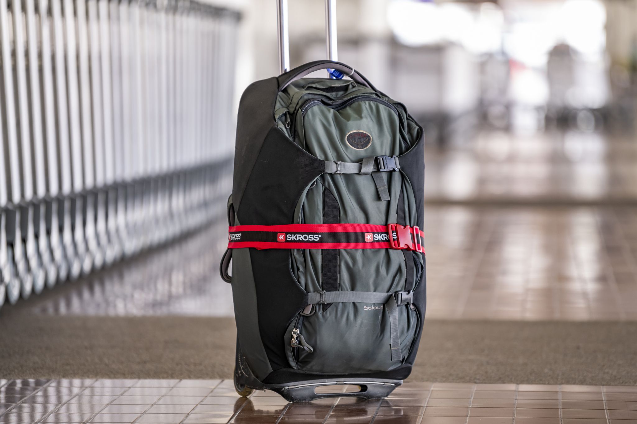 Gepäckriemen, rot - Luggage Strap, red