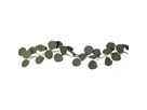 Girlande Eucalyptus - IP20, Warmweiss, 20 LED
