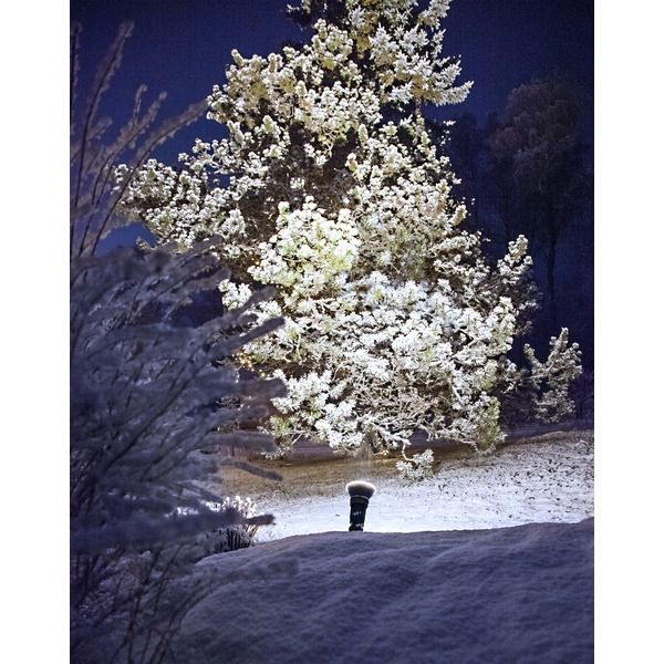 LED Leuchtmittel E27 PAR38 Spotlight Outdoor - E27, 1300Lm, 4000K, 15W, 220-240VAC