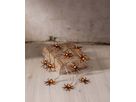 Lichterkette Spider - IP20, LED