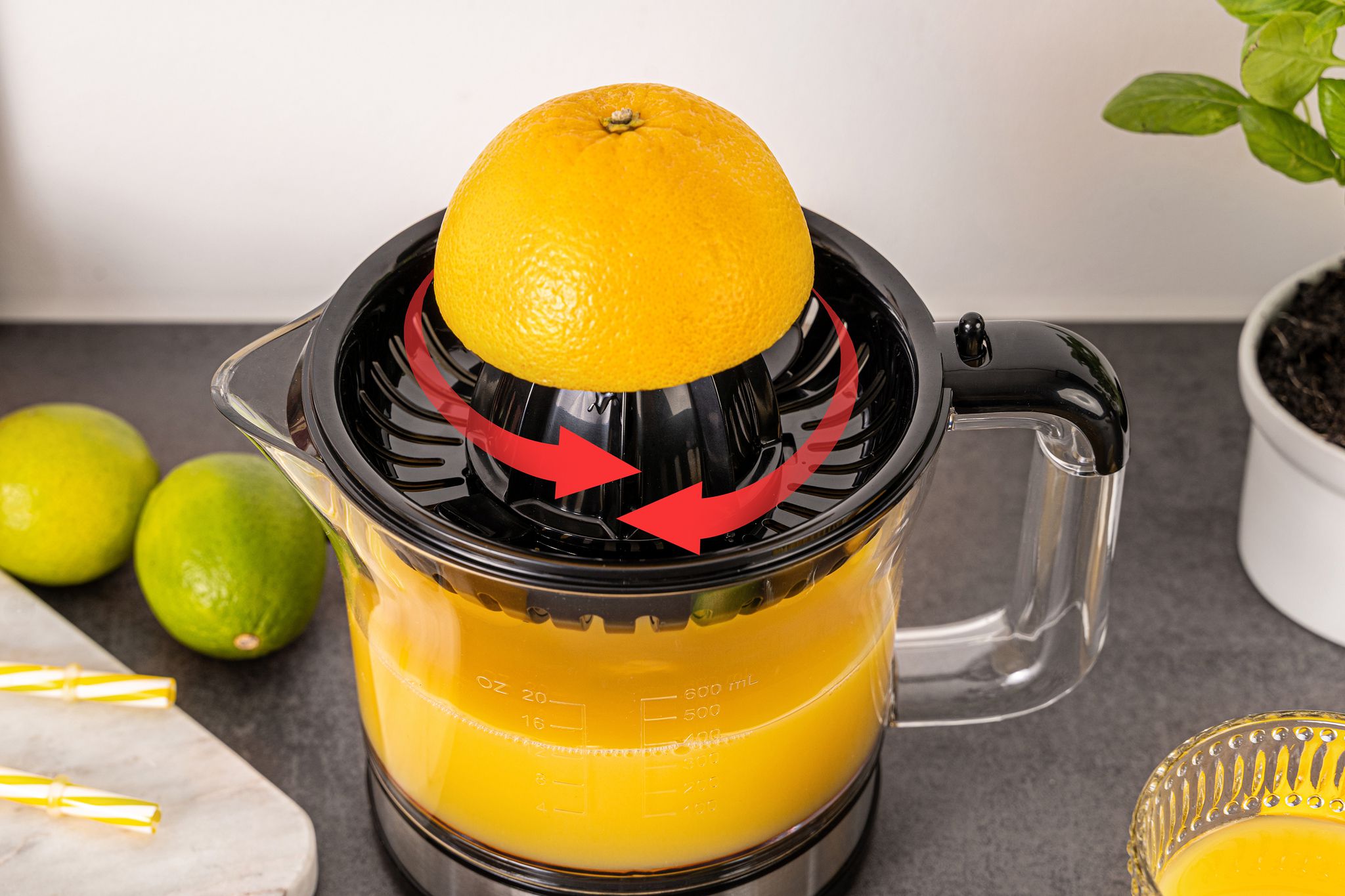 ZITRUSPRESSE ZP 50 - Zitruspresse, Edelstahl/schwarz, 30W