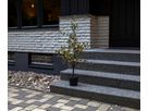 Dekorativer Baum Buxbom - grün, 40 LED's, 115 cm Höhe