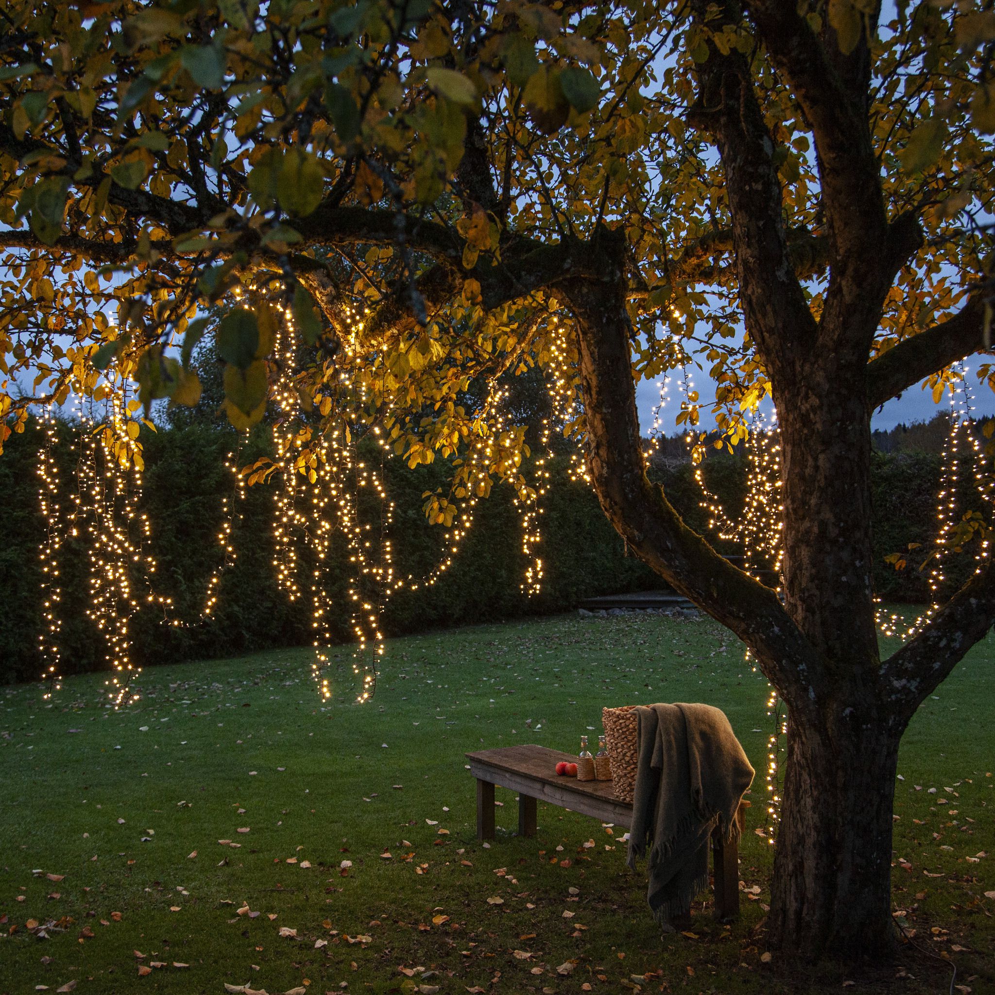 Lichterkette Shiny - IP44, Warmweiss, 800 LED's, 1600.00 cm