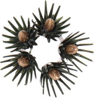 Kerzenring Ring 7 Pack Accessorize - Kerzenring Ring 7 Pack Accessorize