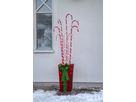 Outdoor Decoration CandyCane - IP44, Multicolor,Rot