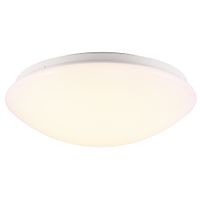 Ask 28 - 12W LED, 3000K, IP44, 230V