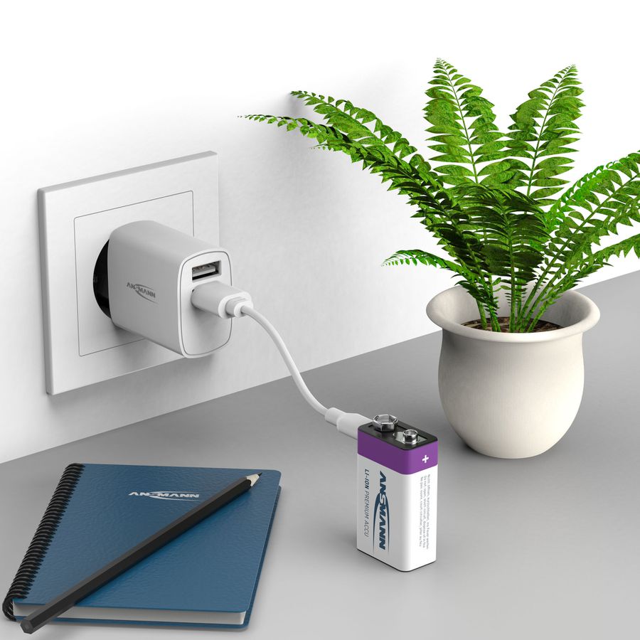 NiMH batteria ricaricabile Micro AAA 550mAh, 2er blister - 1er Kartonage