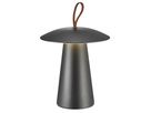 Ara to Go, Schwarz - LED Modul, 2W ,IP54