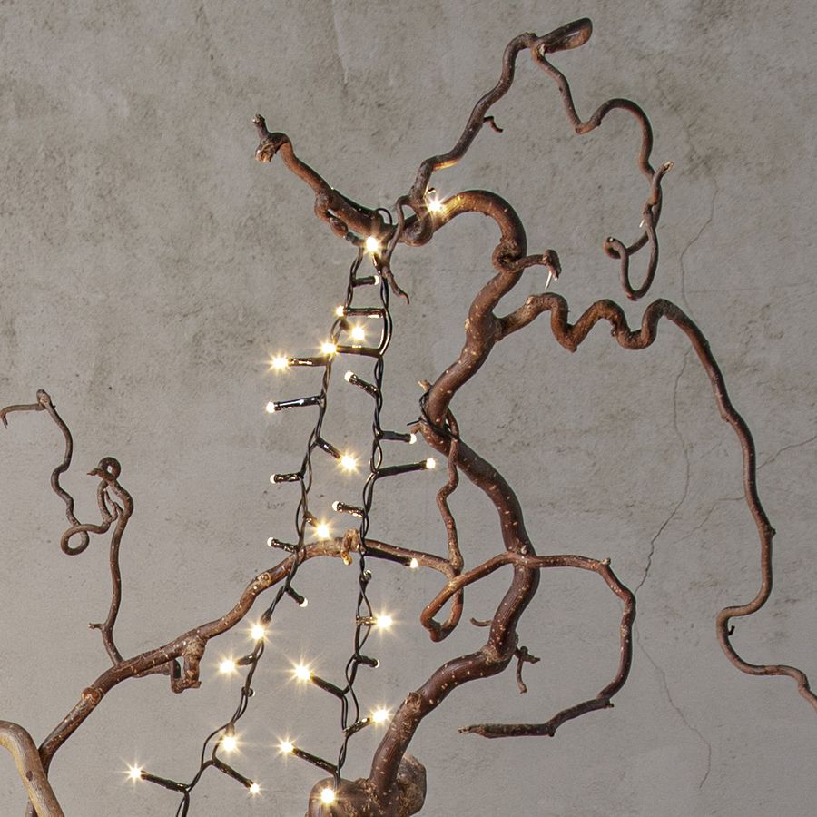 Lichterkette Shiny Warm White - Indoor, Outdoor, Warmweiss, Schwarz