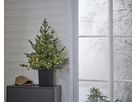 Weihnachtsbaum mit LED Grauland - IP20, Warmweiss, Grün