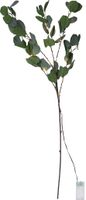 Girlande Eucalyptus - IP20, Warmweiss, 15 LED