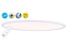LED Deckenleuchte Amalfioval 100x40cm - LED fest verbaut, 2700-6500K, warm-kaltweiss