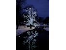 Lichterkette Extra System LED - IP44, Kaltweiss, Schwarz